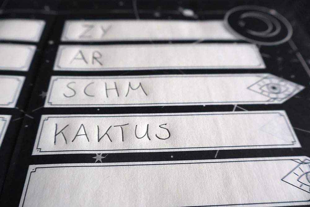 Ghost Writer Objekt Kaktus